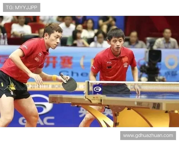 南京排球队的转型之路与未来发展趋势深度解析